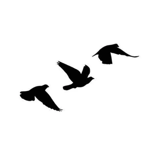 Flying birds