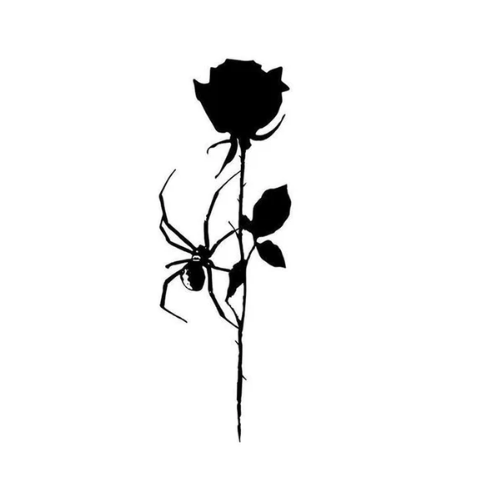 Rose and spider