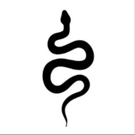 Snake silhoutte